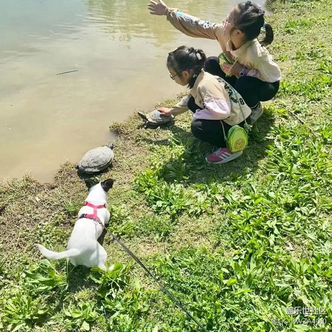 【最美四月天】穷游