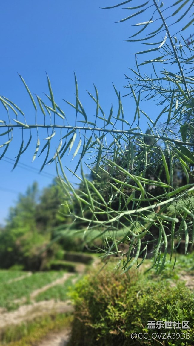 【初夏味道】将近夏天