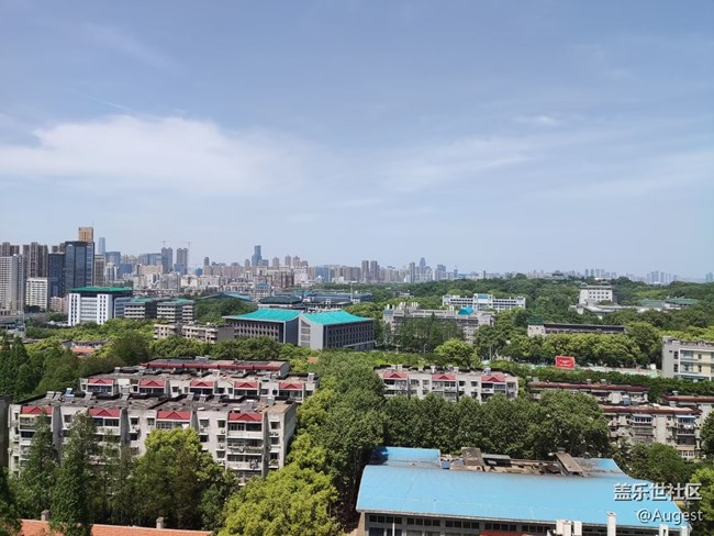 【四季果实】日常