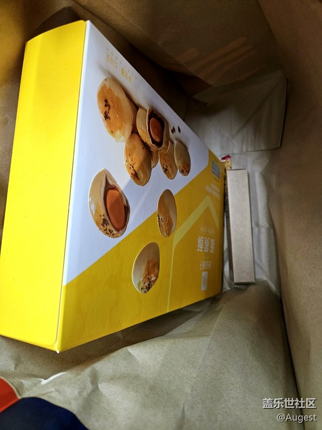 【三星S23系列品鉴活动】猫与S23