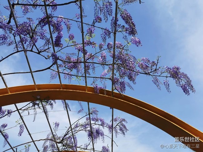 【最美四月天】不负春光与时行