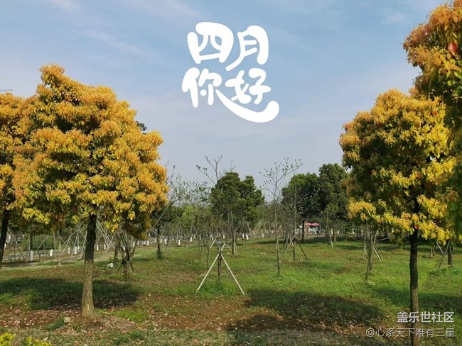 【最美四月天】不负春光与时行