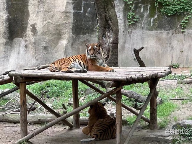 #路过风景线——动物园