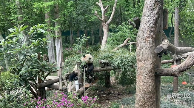 #路过风景线——动物园