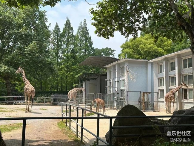 #路过风景线——动物园