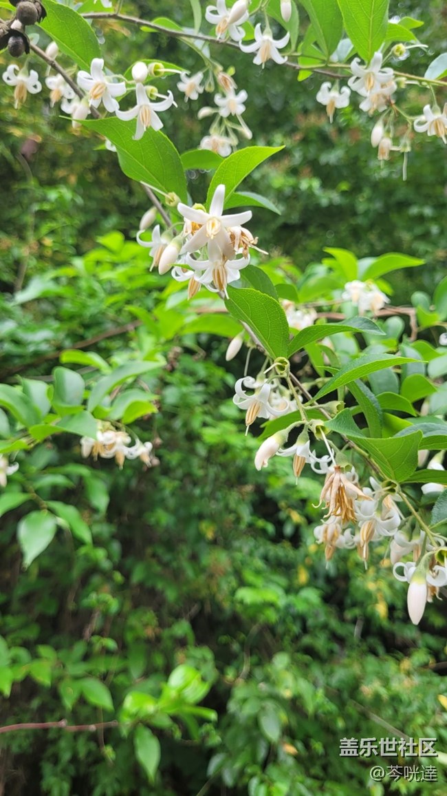 【初夏味道】入夏