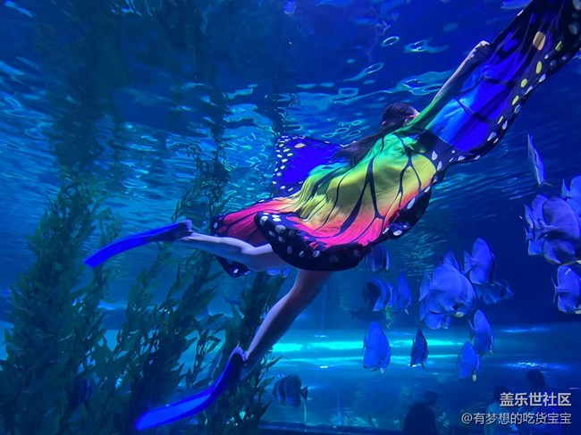 [回顾贴]抚顺皇家极地海洋世界之旅上篇