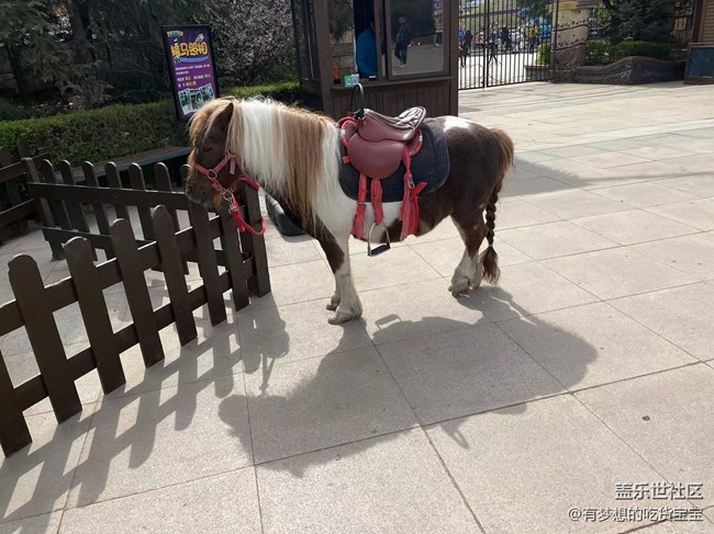 [回顾贴]抚顺皇家极地海洋世界之旅上篇