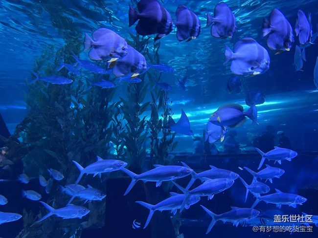 [回顾贴]抚顺皇家极地海洋世界之旅上篇