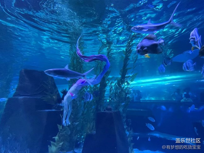 [回顾贴]抚顺皇家极地海洋世界之旅上篇