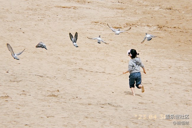 青岛星部落4月30日S23拍摄品鉴