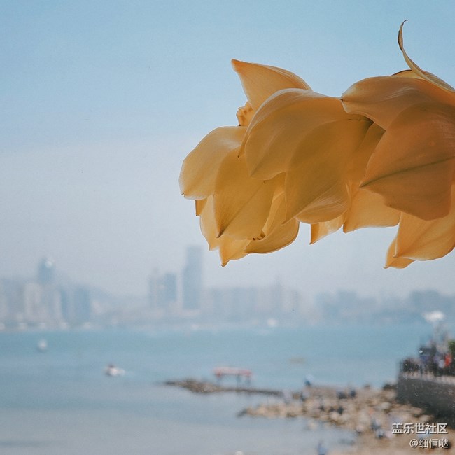 青岛星部落4月30日S23拍摄品鉴