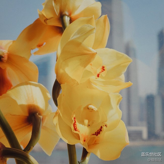 青岛星部落4月30日S23拍摄品鉴