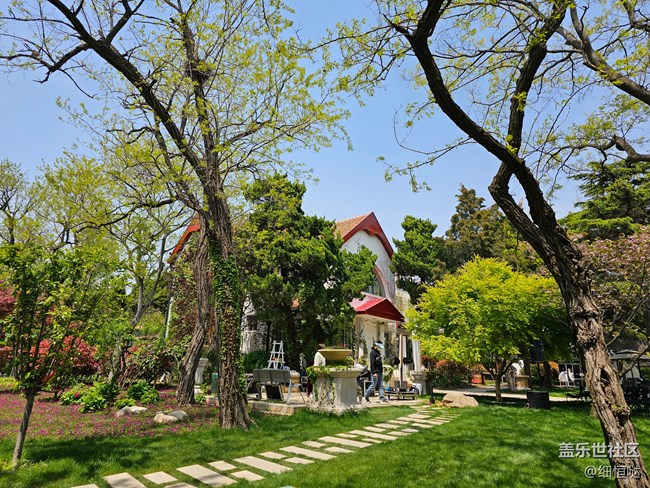 青岛星部落4月30日S23拍摄品鉴