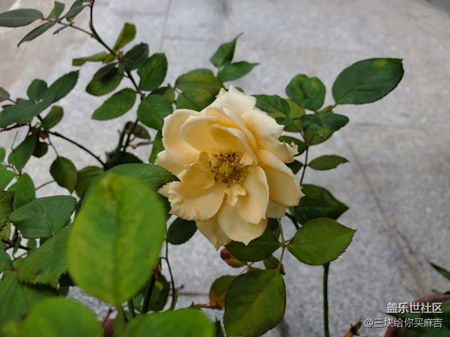 【五一游玩记】买菜