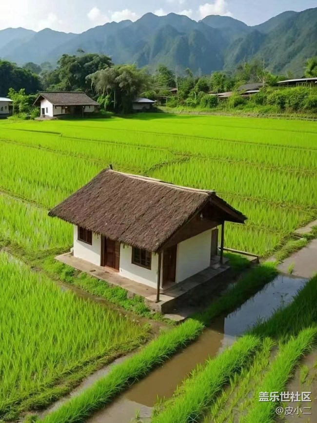 【初夏味道】田野
