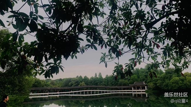 【春色满园】春天美景