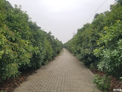 【五一随拍】+路边随拍