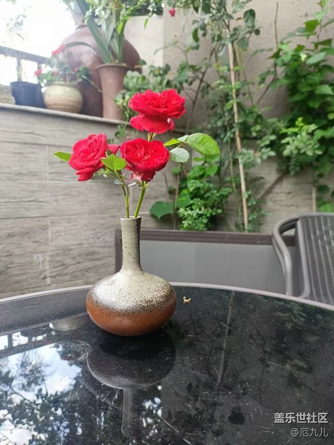 【初夏味道】莲花