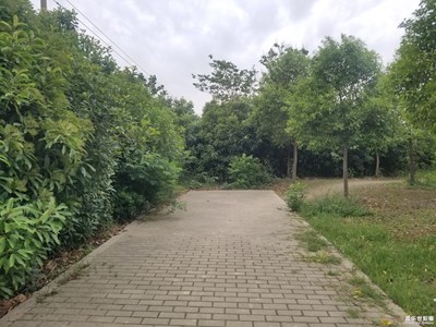 【我的五一】寻找自然的气息
