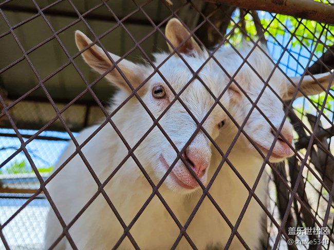 登高望远……辽阳核伙沟森林公园回顾