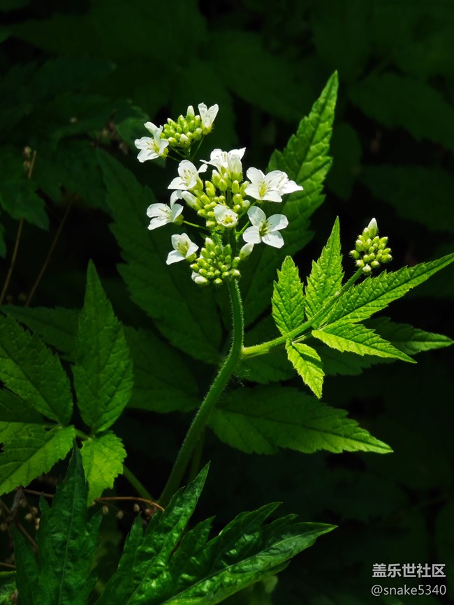 登高望远……辽阳核伙沟森林公园回顾