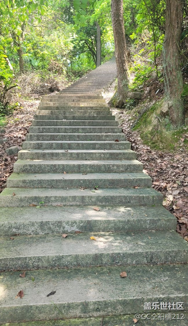 【山野之间】山间小路