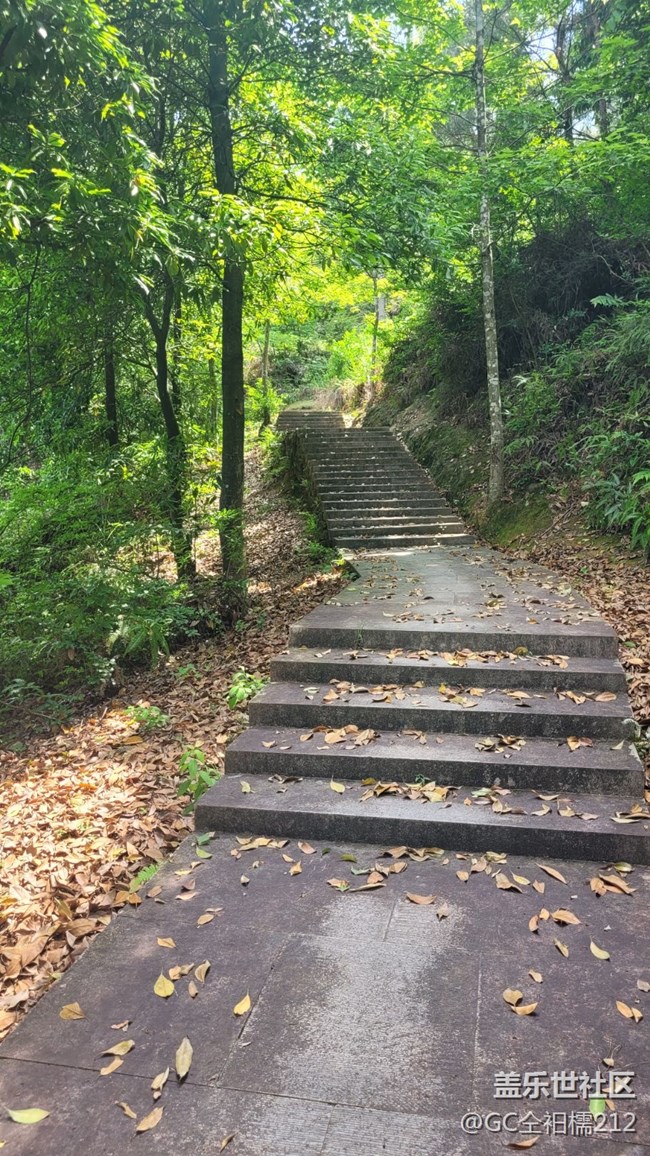 【山野之间】山间小路
