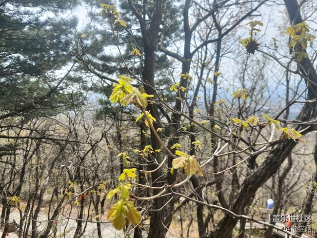 【品美食走山河】翻山越岭
