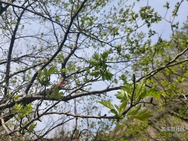 【品美食走山河】翻山越岭