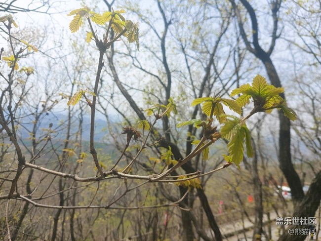 【品美食走山河】翻山越岭