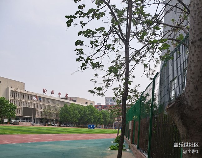 【与青春撞个满怀】重返校园