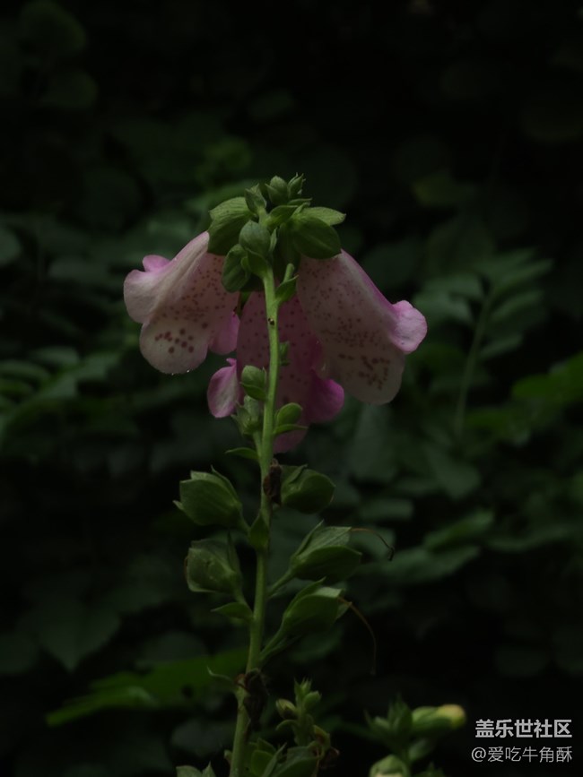 【五一游玩记】逛逛沙面