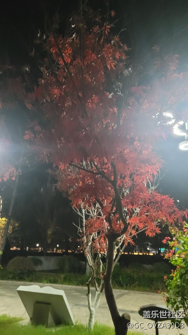 【镜头里的美好】公园一角