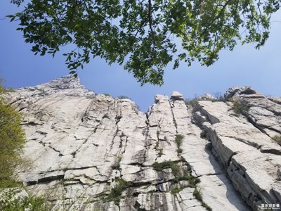 郑州的大好风景