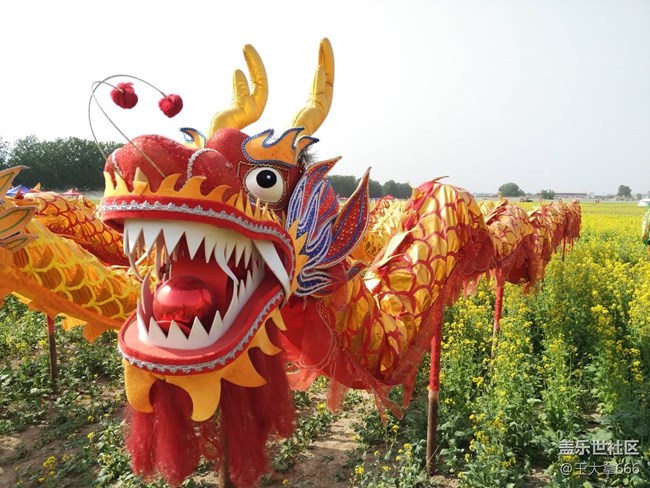 【出游记】+骑上我心爱的小摩托