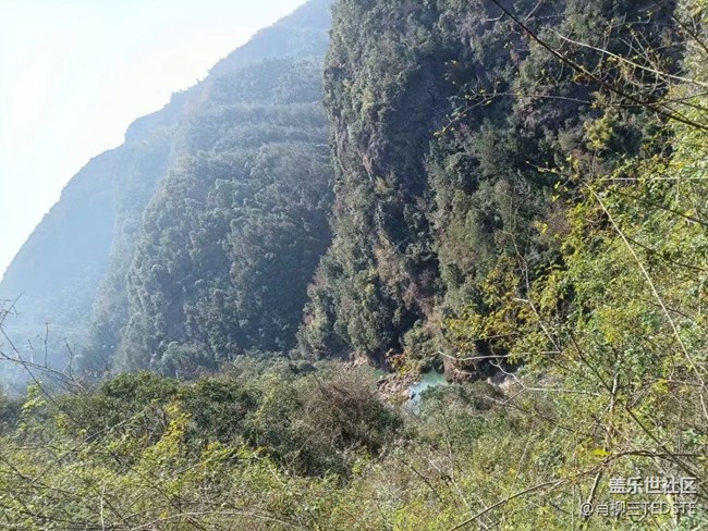 【打工人，520】劳动光荣