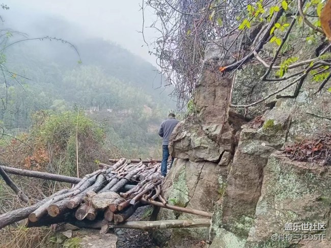 【打工人，520】劳动光荣