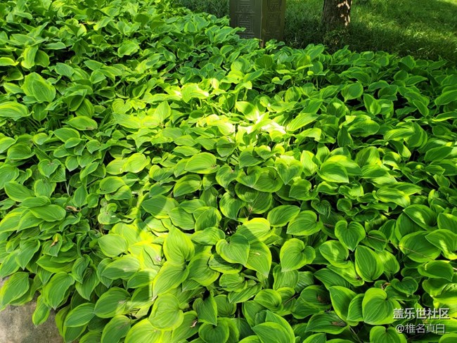 【拥抱自然】夏日风情