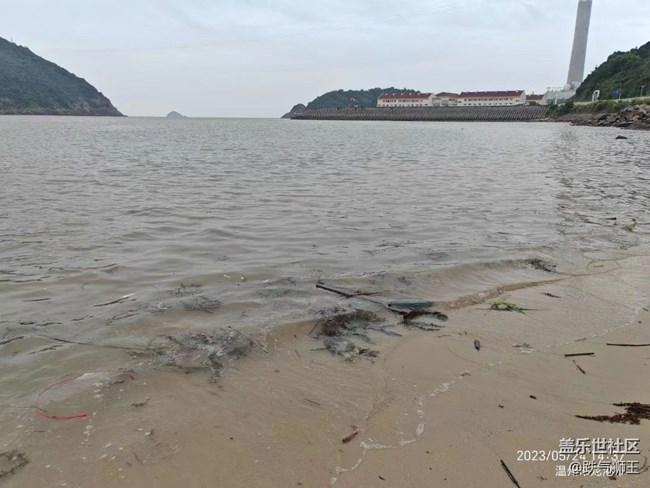 【欢乐一刻】海滩