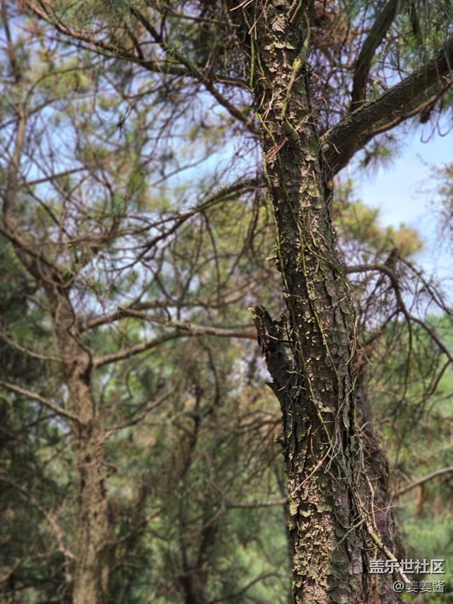 【出游记】+爬山