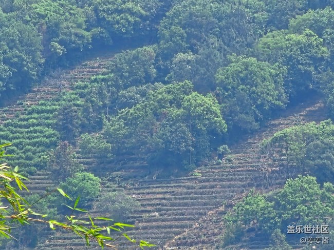 【出游记】+爬山