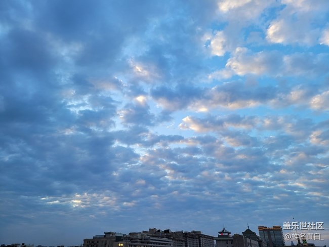 【拥抱自然】夏日风情