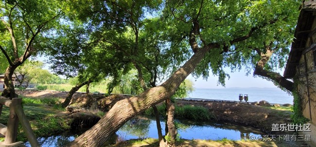 【拥抱自然】溪水清冷，鸟语婵鸣