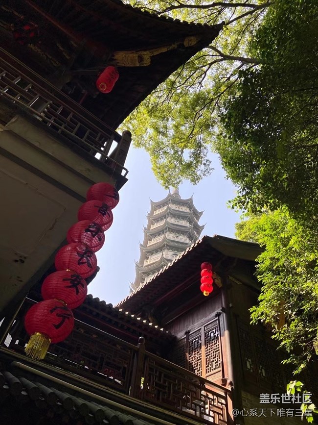 【拥抱自然】溪水清冷，鸟语婵鸣