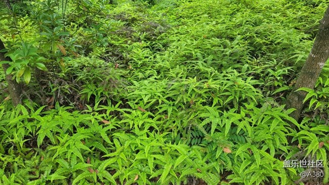 【镜头里的美好】爬山