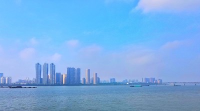 藏在手机里的风景