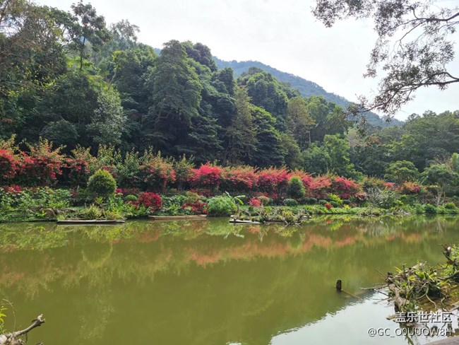 【欢乐一刻】仙湖植物园的一天