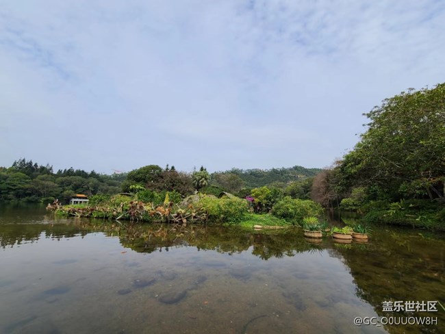 【欢乐一刻】仙湖植物园的一天