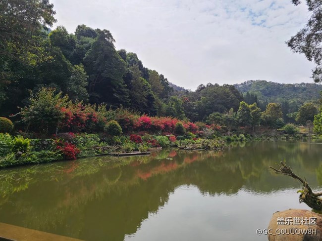 【欢乐一刻】仙湖植物园的一天